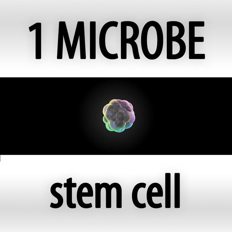 giant microbes stem cell